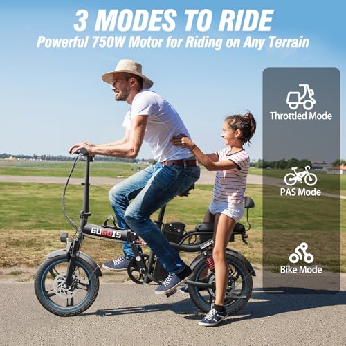 2 Seater Electric Bike, 16" Fat Tire, Full Suspension Q188117