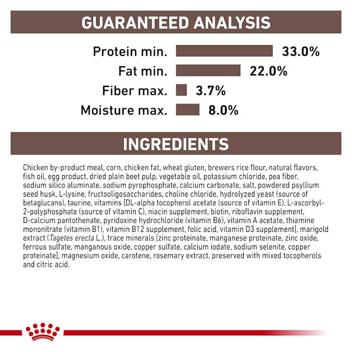 Kitten Dry Cat Food B4837