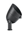 LED Landscape Accent D44887