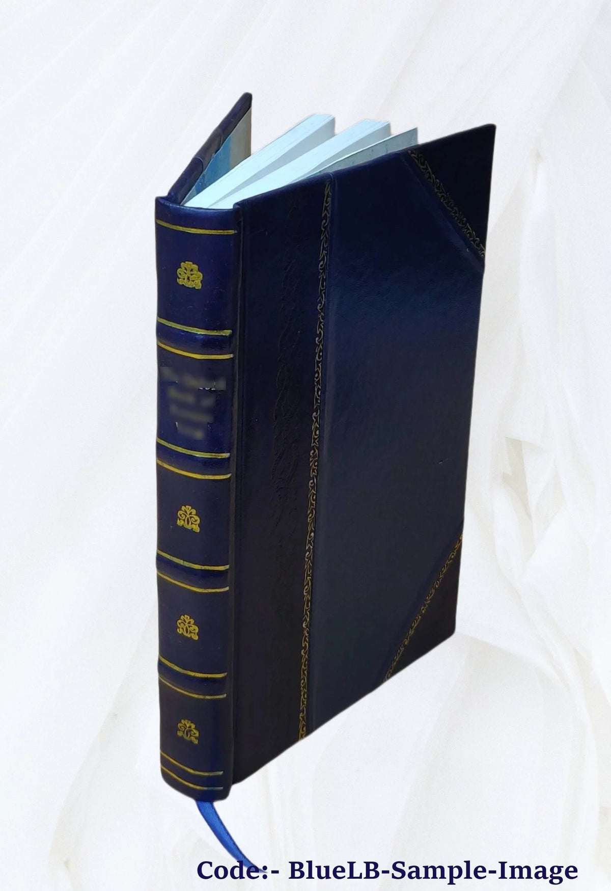 Leather Bound Book Z539