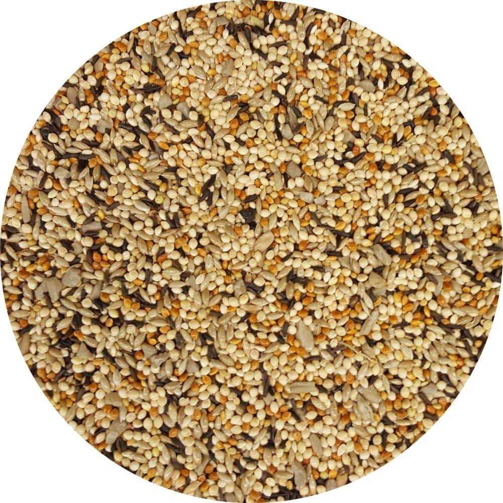 10 lb. Wild Bird Food R162693