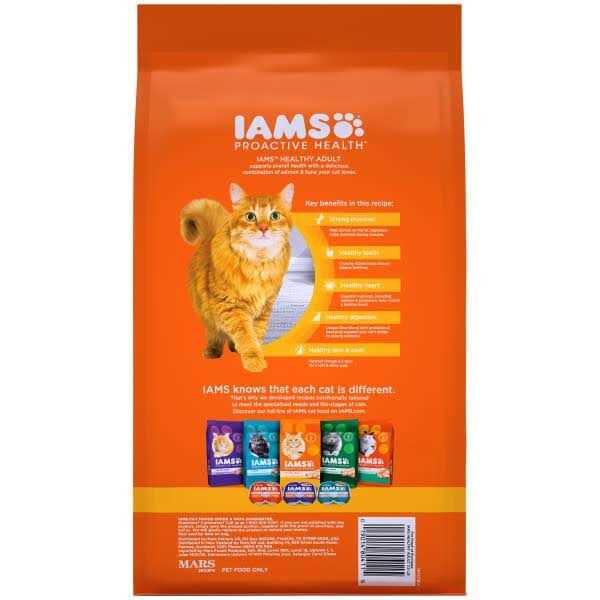 Salmon Adult Dry Cat Food V238