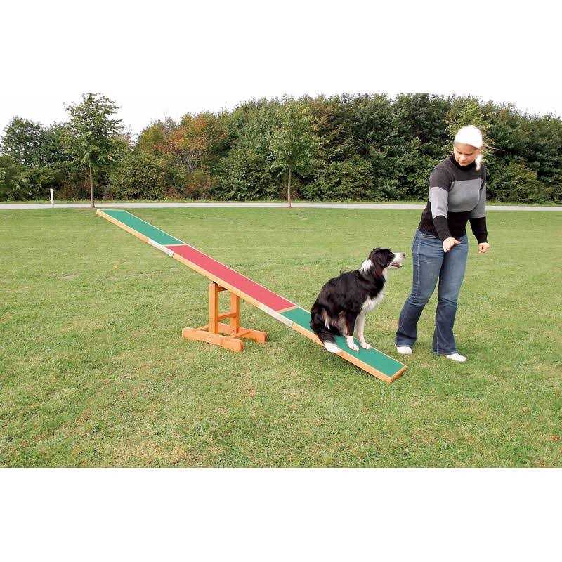Agility Dog Training Seesaw F58112
