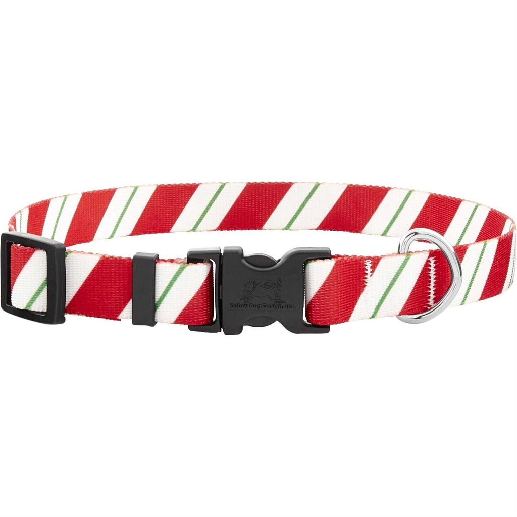 Small Latex Polka-Dot Bone Dog Toy Q53865