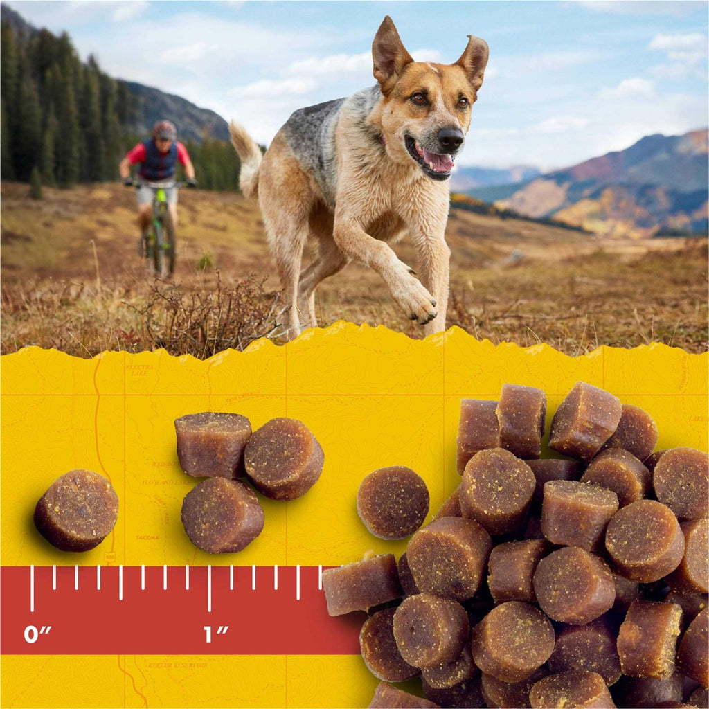 Dog Treats N785669