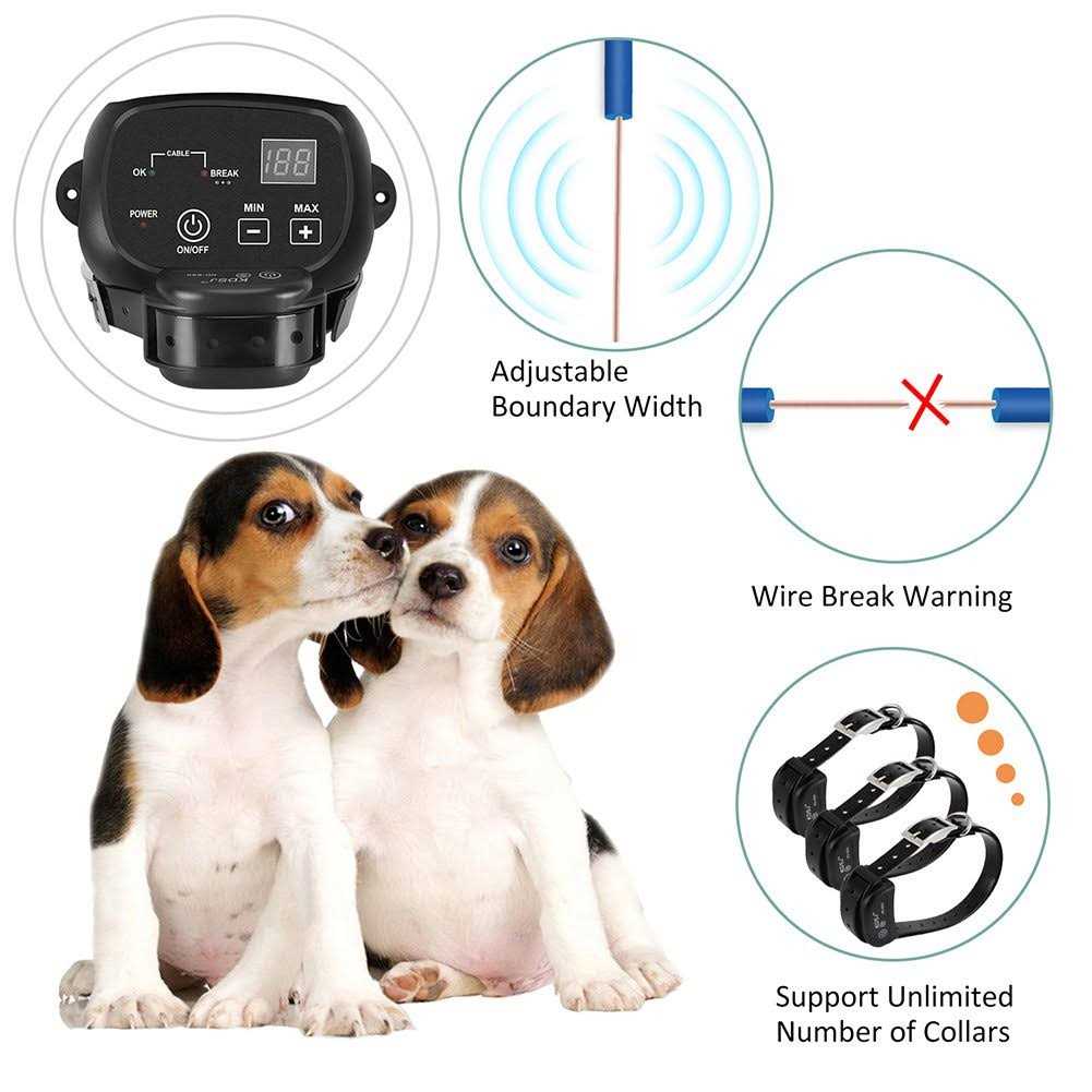 Electric Dog Fence C2802