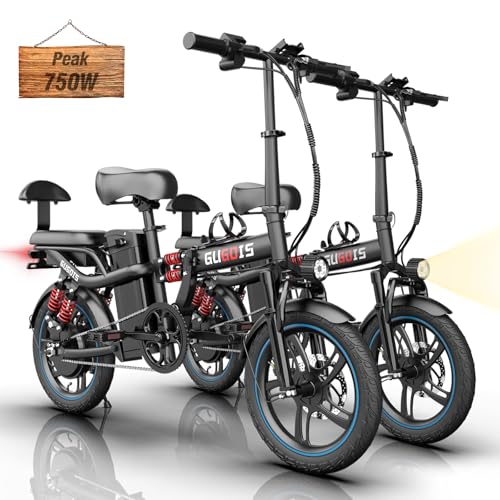 2 Seater Electric Bike, 16" Fat Tire, Full Suspension Q188117