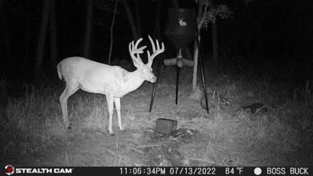 32MP 1080P Video Trail Camera with Security Box W41662