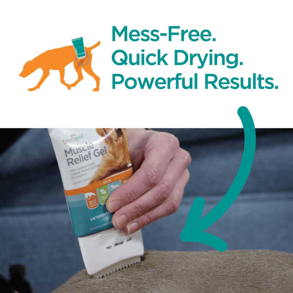 Muscle Relief for Dogs 3 oz Y78271