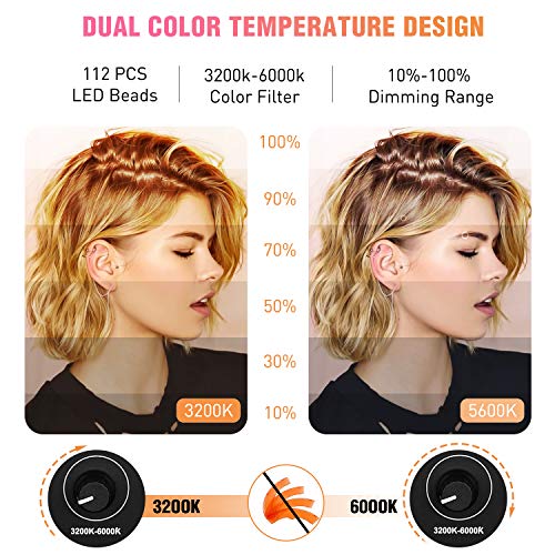 18 Inch LED Ring Light Kit with 73 Inch Tripod Stand W5298