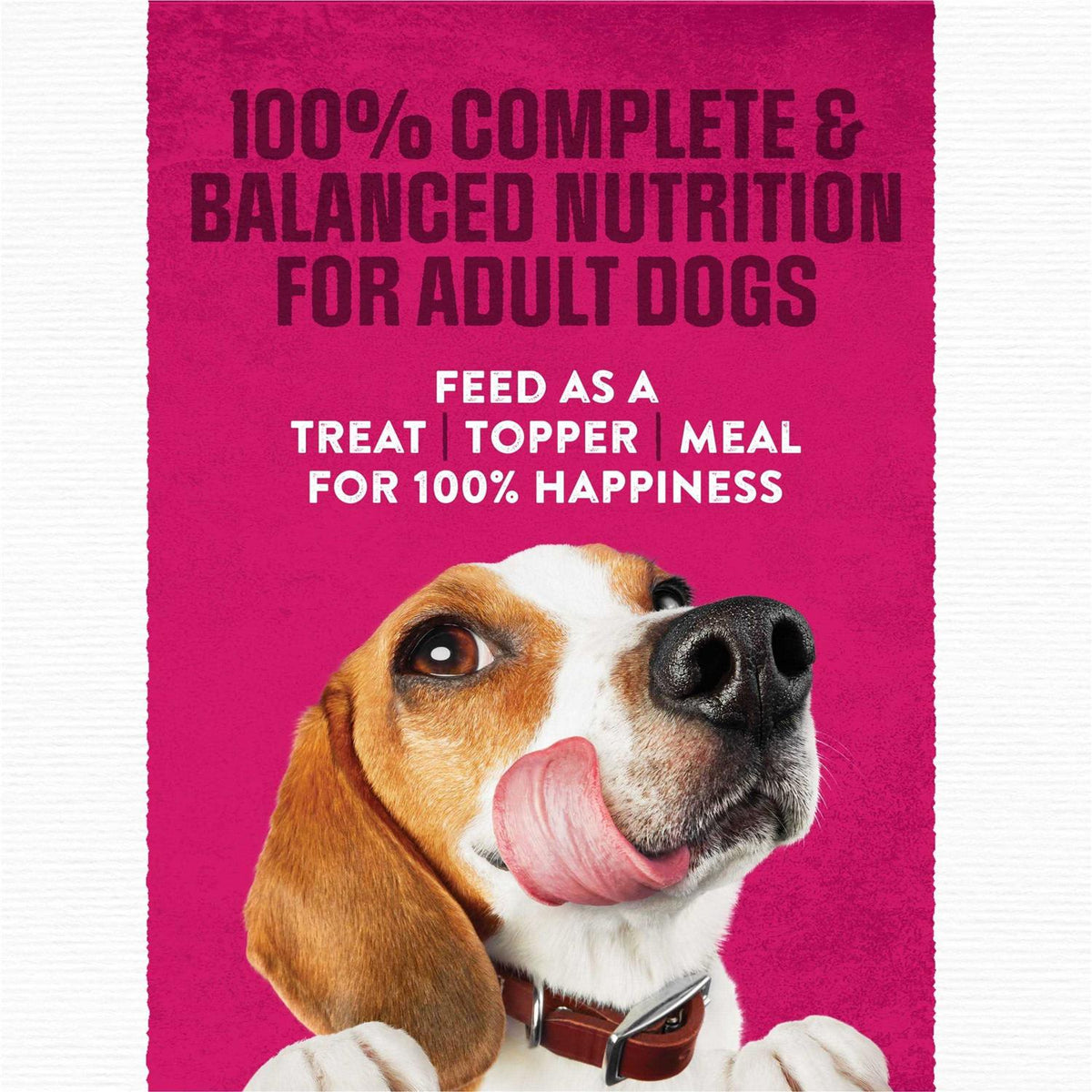 Moist & Meaty Steak Flavor Dry Dog Food G219407