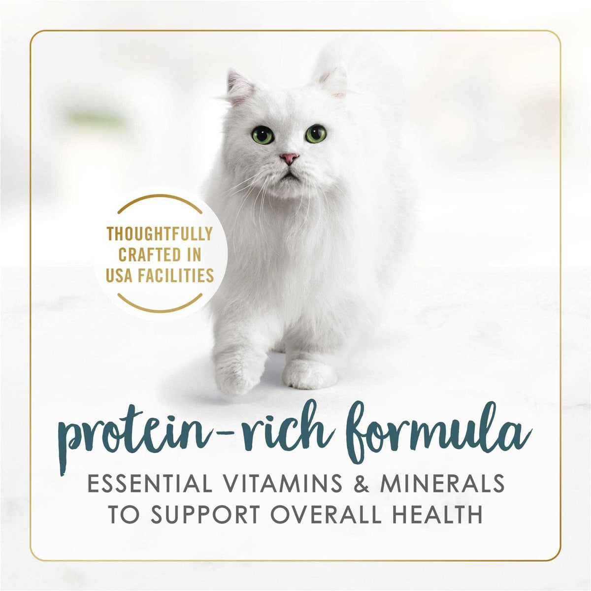 Gravy Cat Food B903099