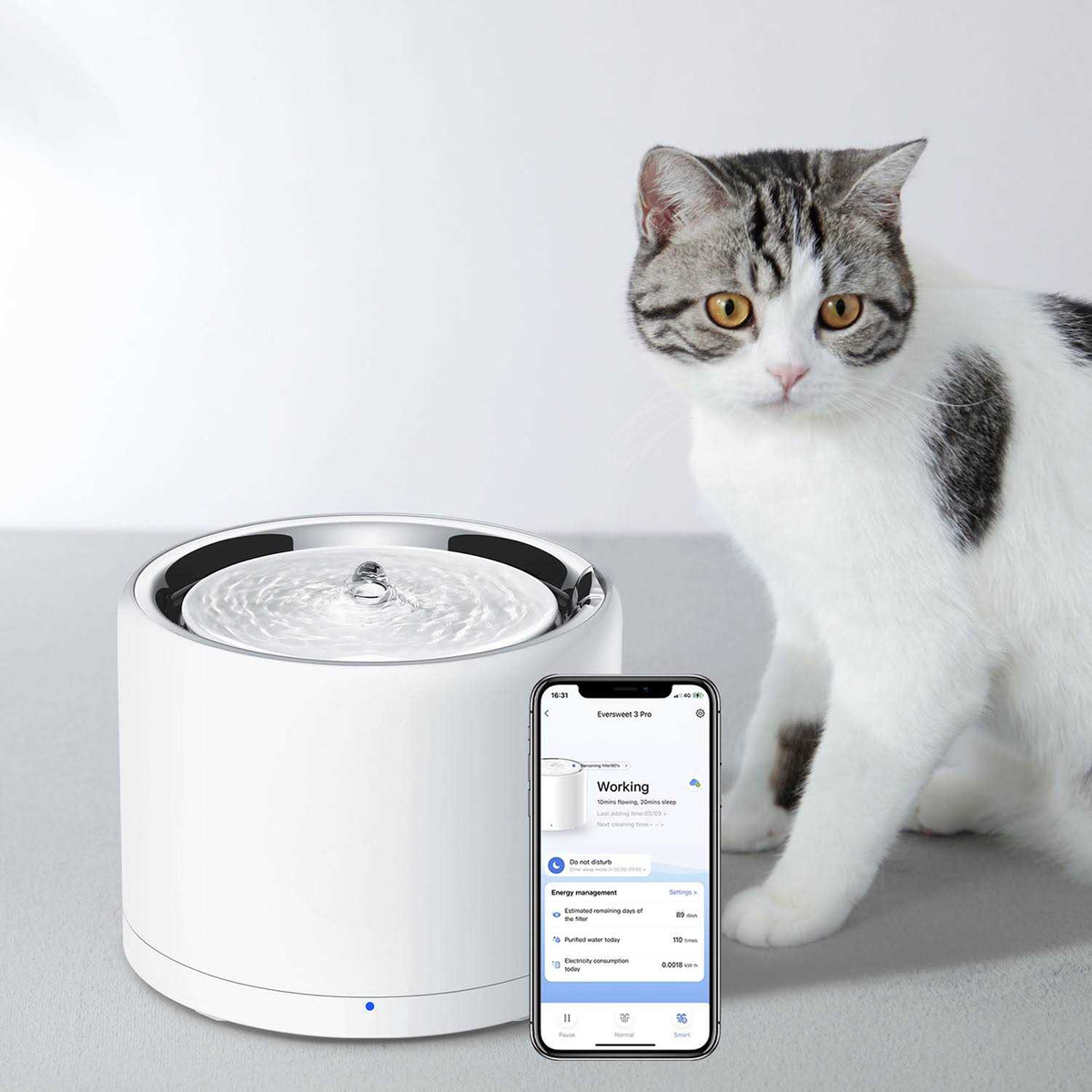 Pet Water Fountain G6979