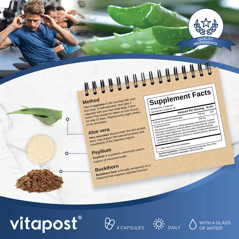 60 Capsules Digestive Cleanse Supplement V5924