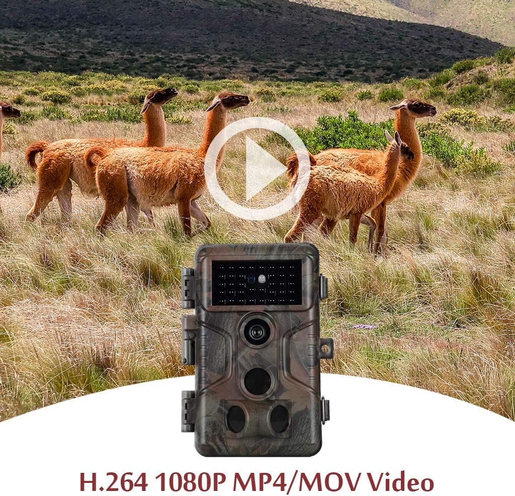 20MP 1080P Trail Camera with Night Vision V56892