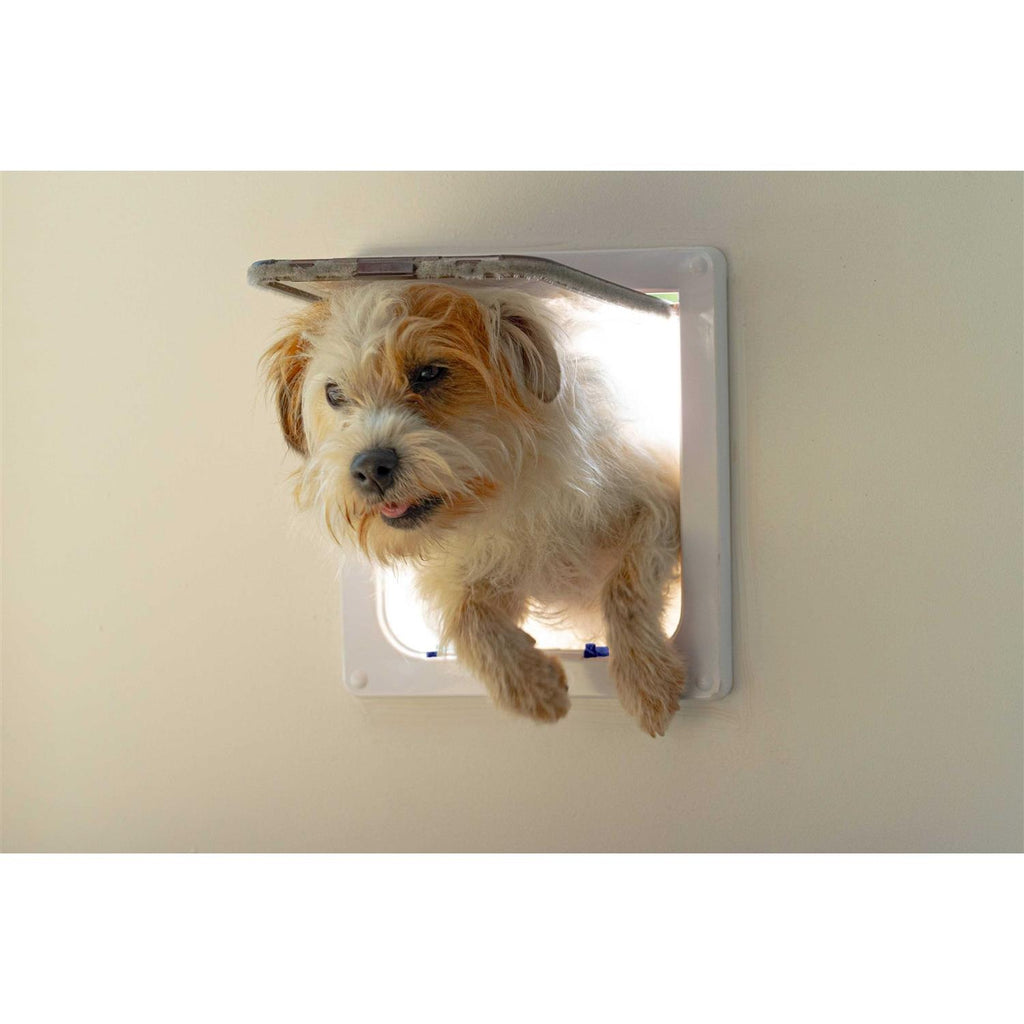 Large Cat/Small Dog Door J2321