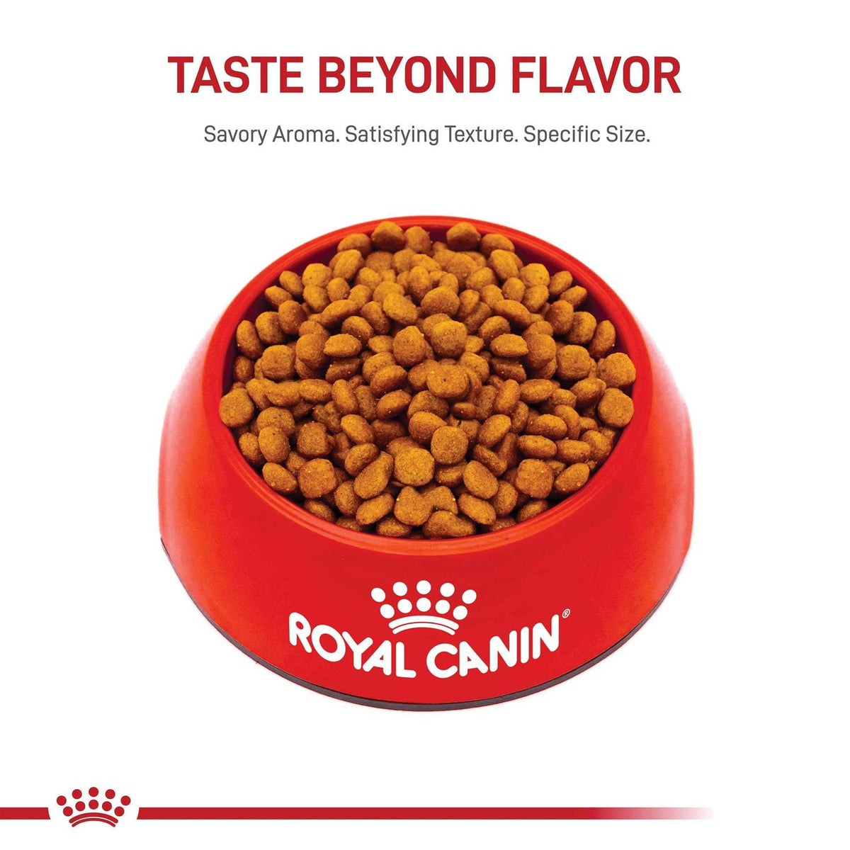 Dry Dog Food Q821