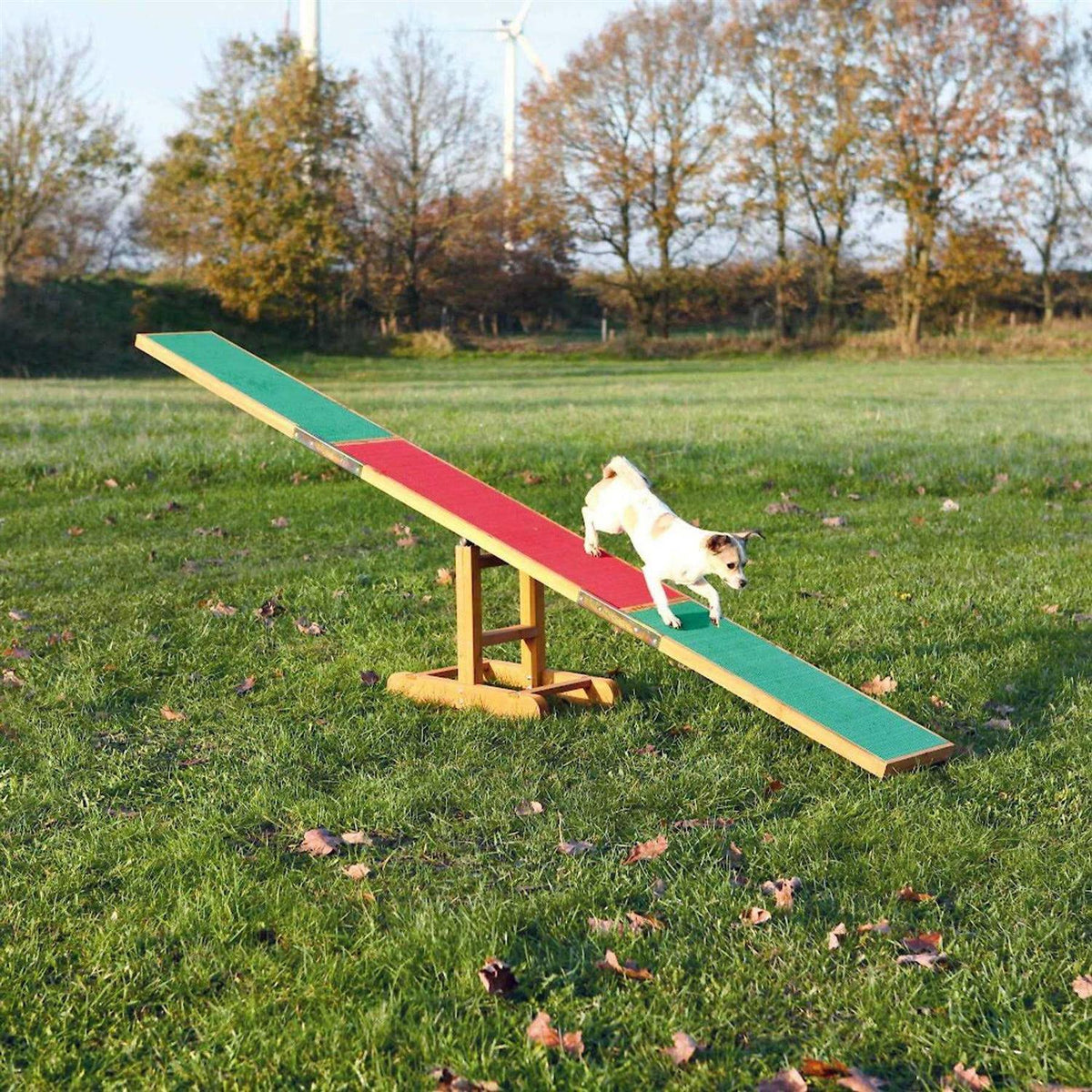 Agility Dog Training Seesaw F58112