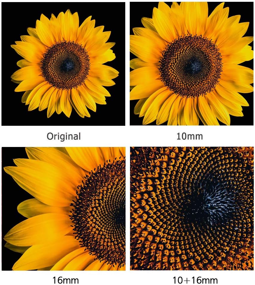 Extension Tube for Micro 4/3 System Camera R763