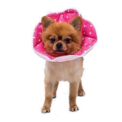 Soft Adjustable Cat Dog Recovery Collar P426