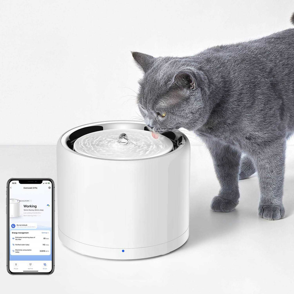 Pet Water Fountain G6979