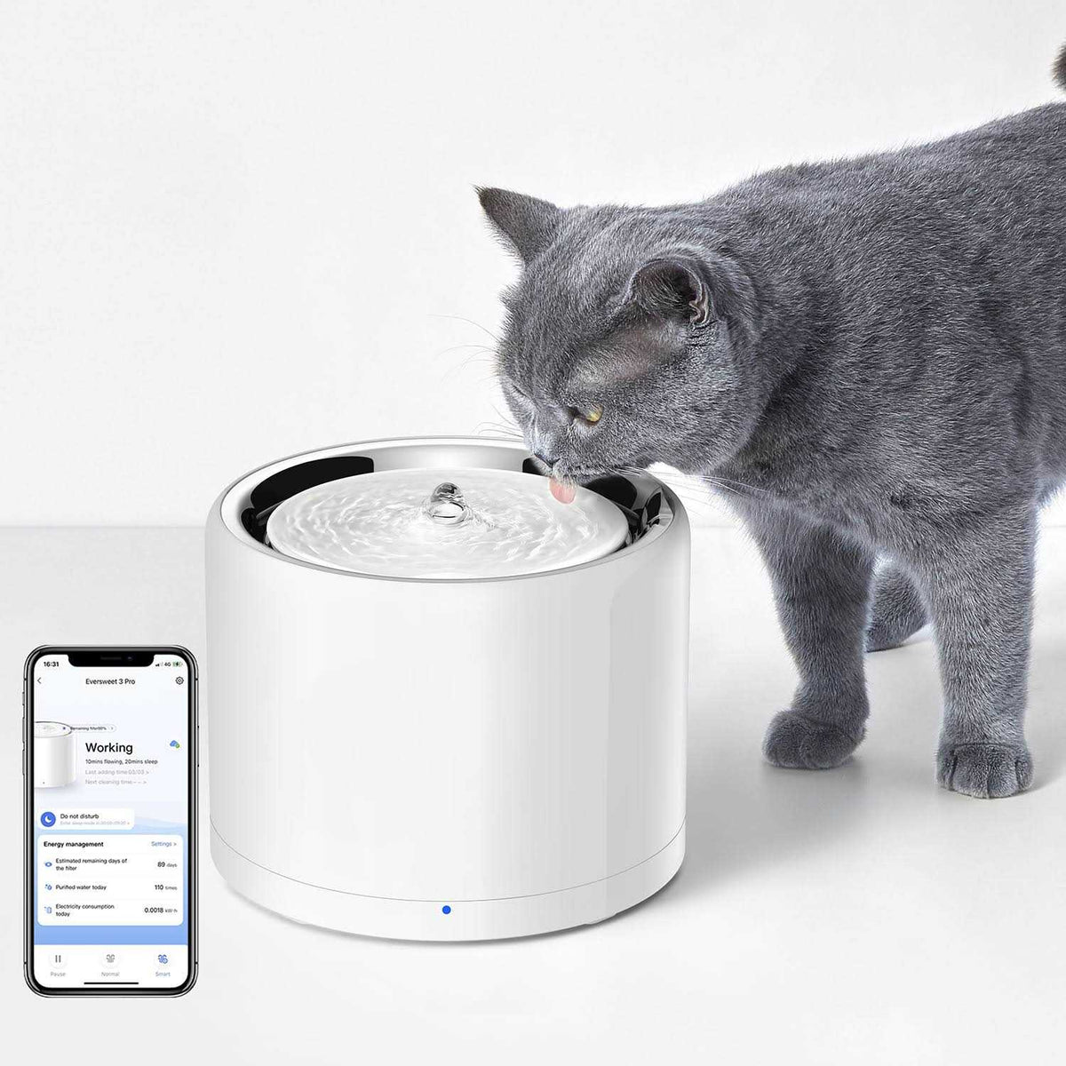 Pet Water Fountain G6979