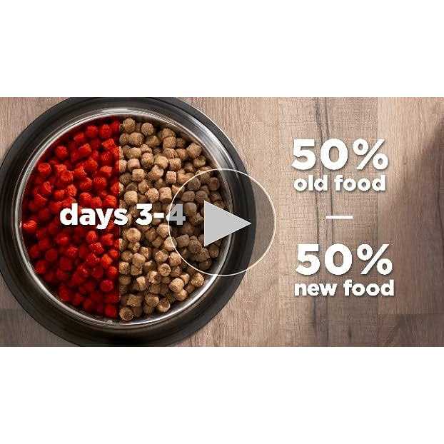 Chicken Dry Cat Food S6191