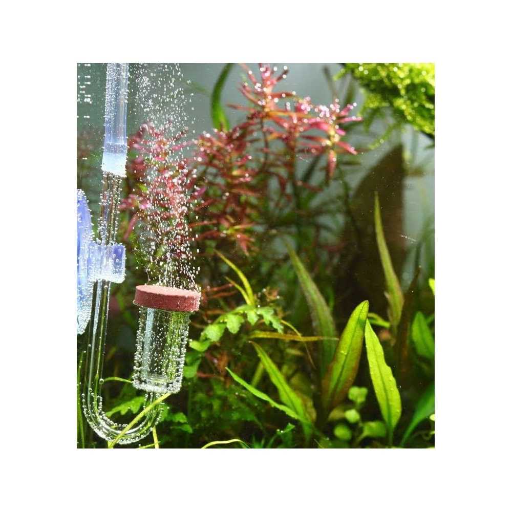 Aquario Neo CO2 A264896