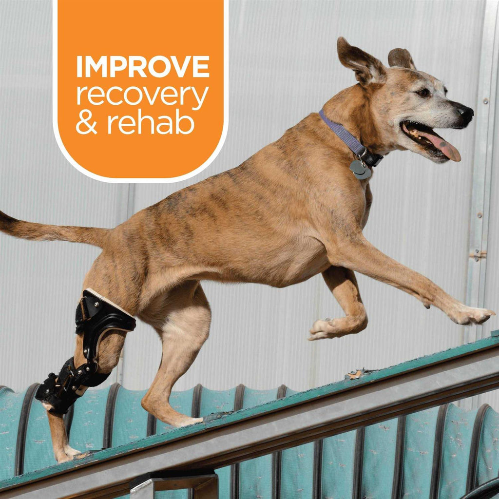 Muscle Relief for Dogs 3 oz Y78271