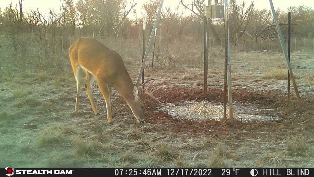 32MP 1080P Video Trail Camera with Security Box W41662