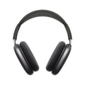 Space Gray Headphones J48938