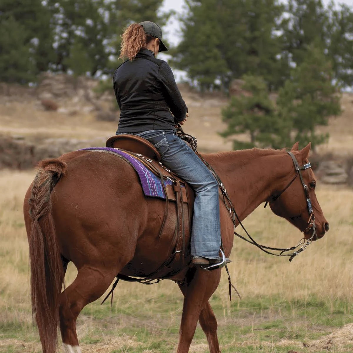 Felt Saddle Pad E62561