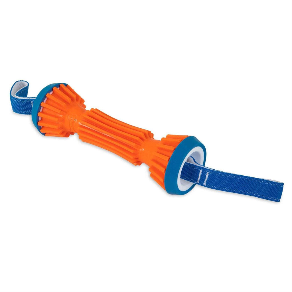 Rugged Bumper Dog Toy C878572
