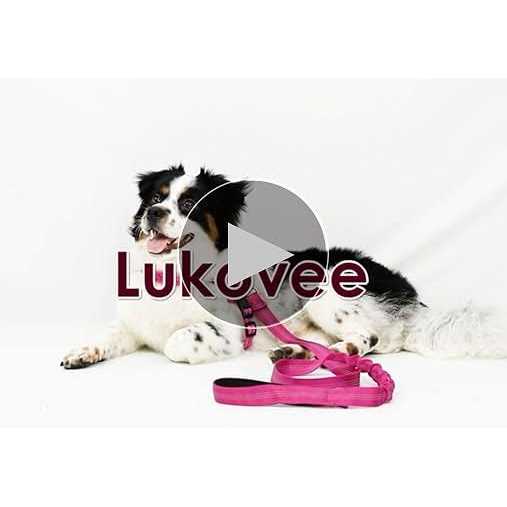 Heavy Duty Adjustable Reflective Dog Harness and Leash C2398