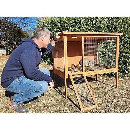 Rabbit Hutch G9291