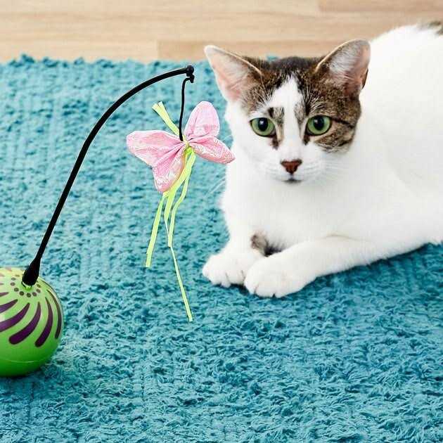 Feather Whirl Cat Toy H24146