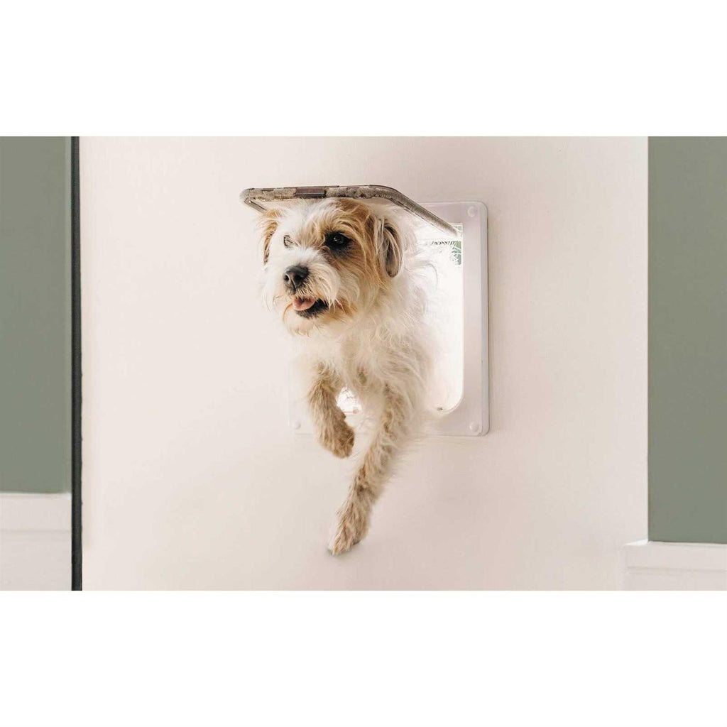 Large Cat/Small Dog Door J2321