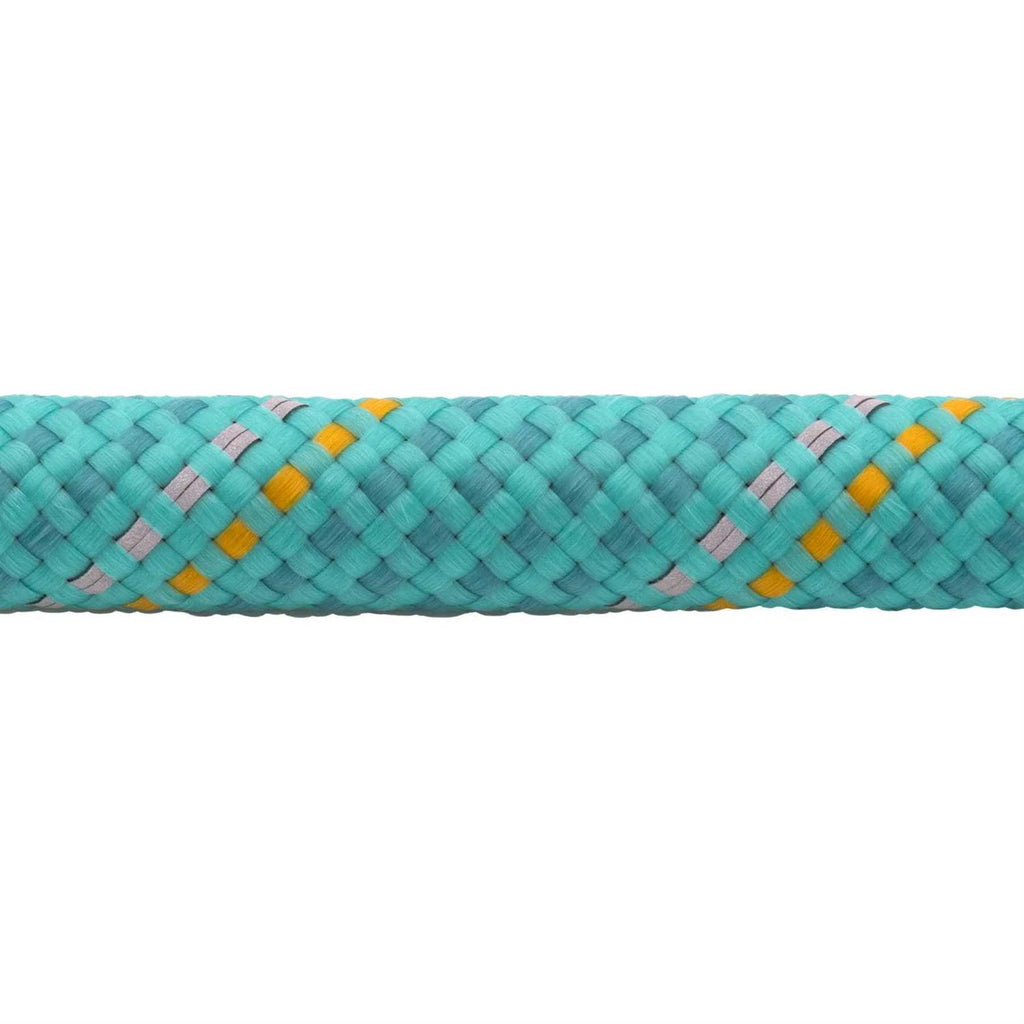 Cinching Leash B538826