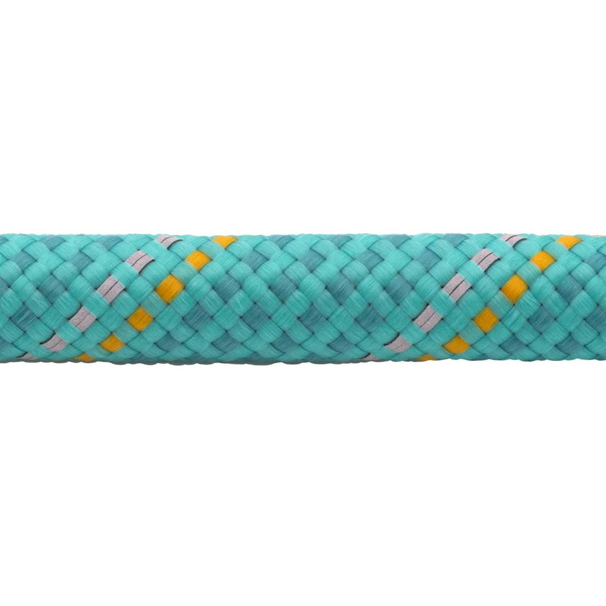 Cinching Leash B538826