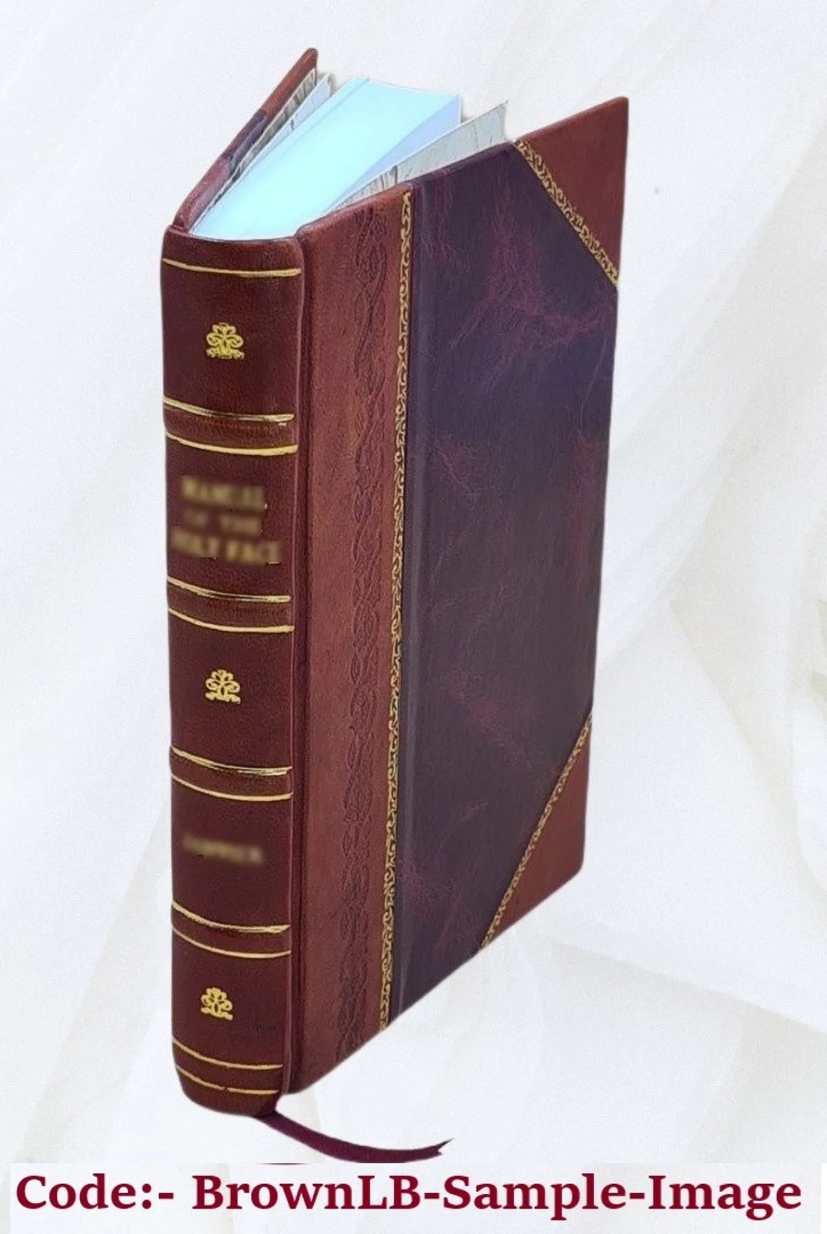 Leather Bound Book Z539