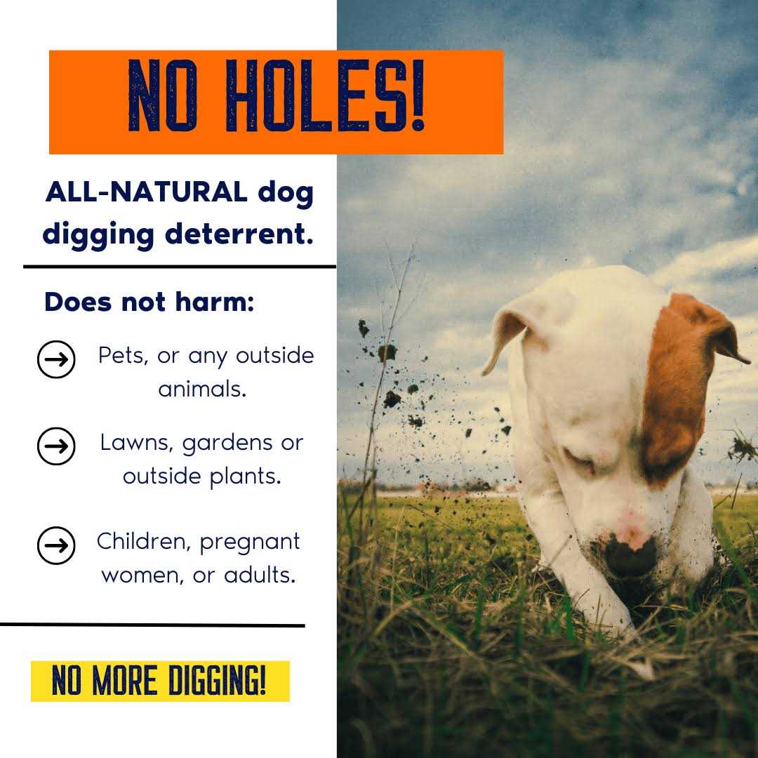 Digging Dog Prevention Concentrate O44822