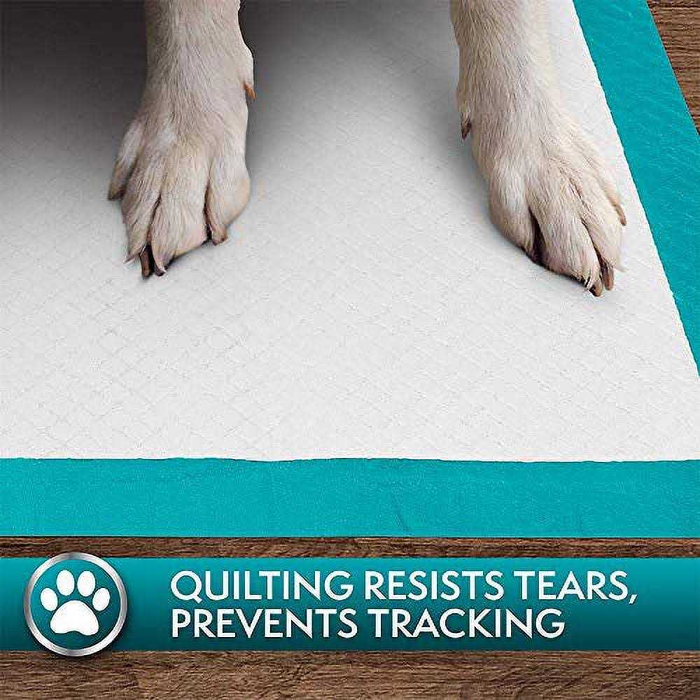Extra Large Training Pads E412741