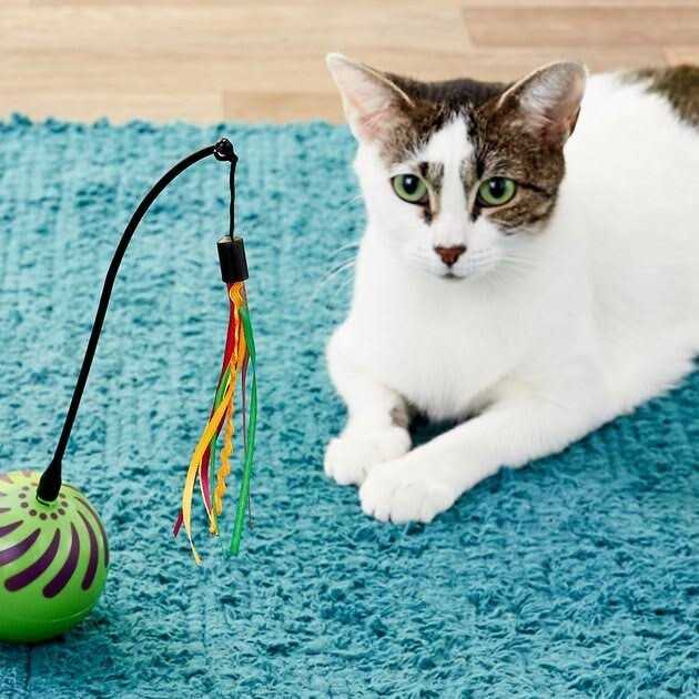 Feather Whirl Cat Toy H24146