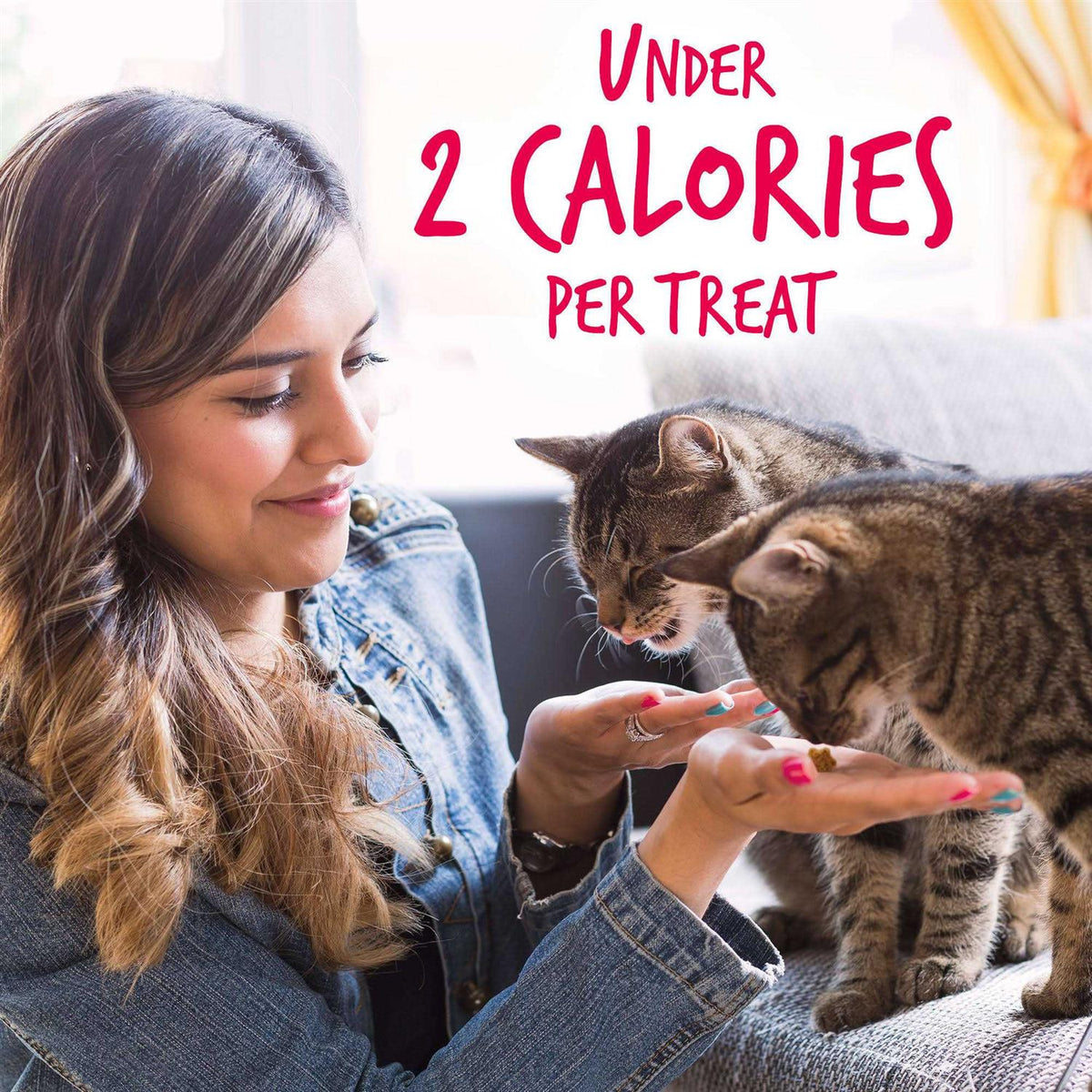Salmon with Cranberry Crunchy Cat Treats X325