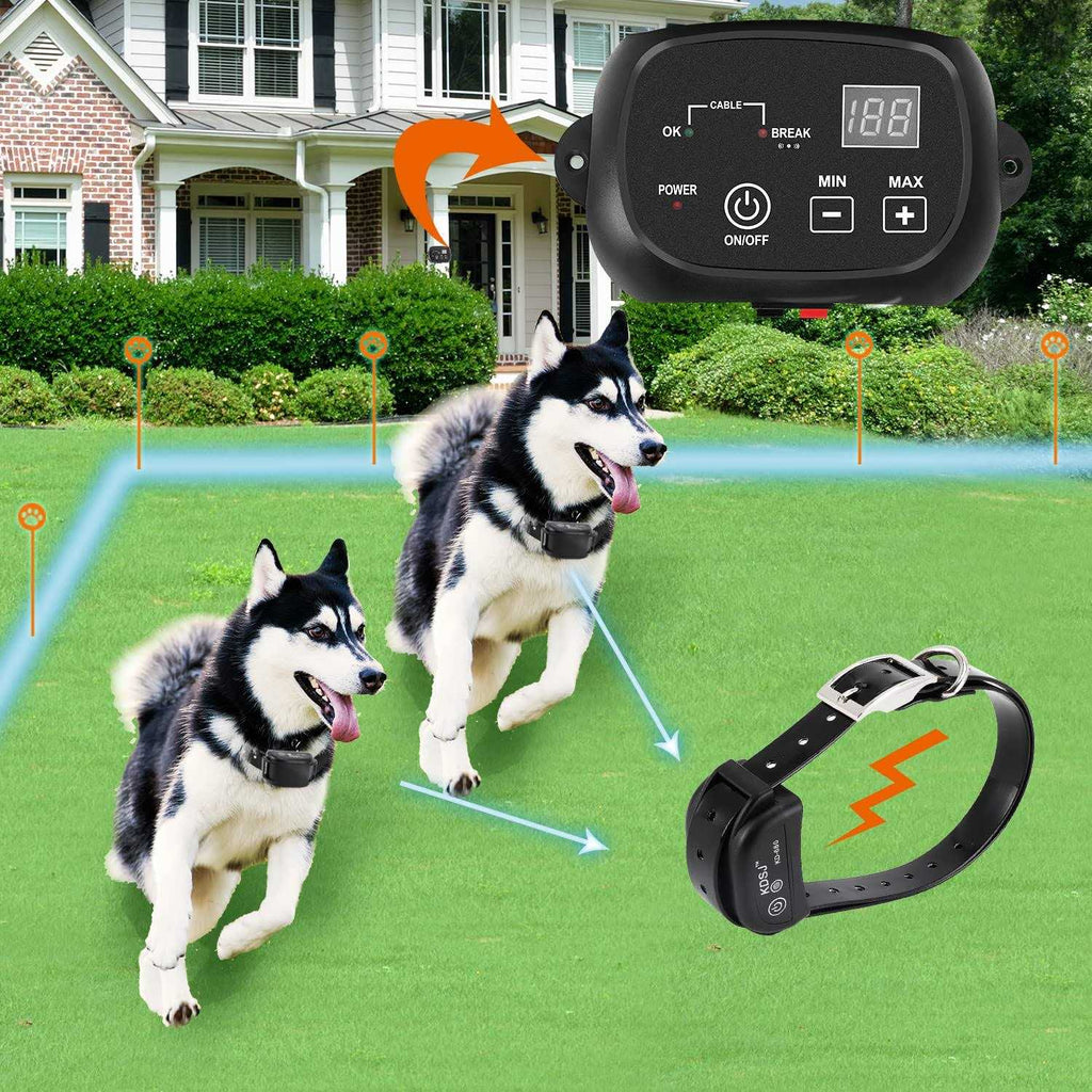 Electric Dog Fence C2802
