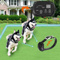 Electric Dog Fence C2802