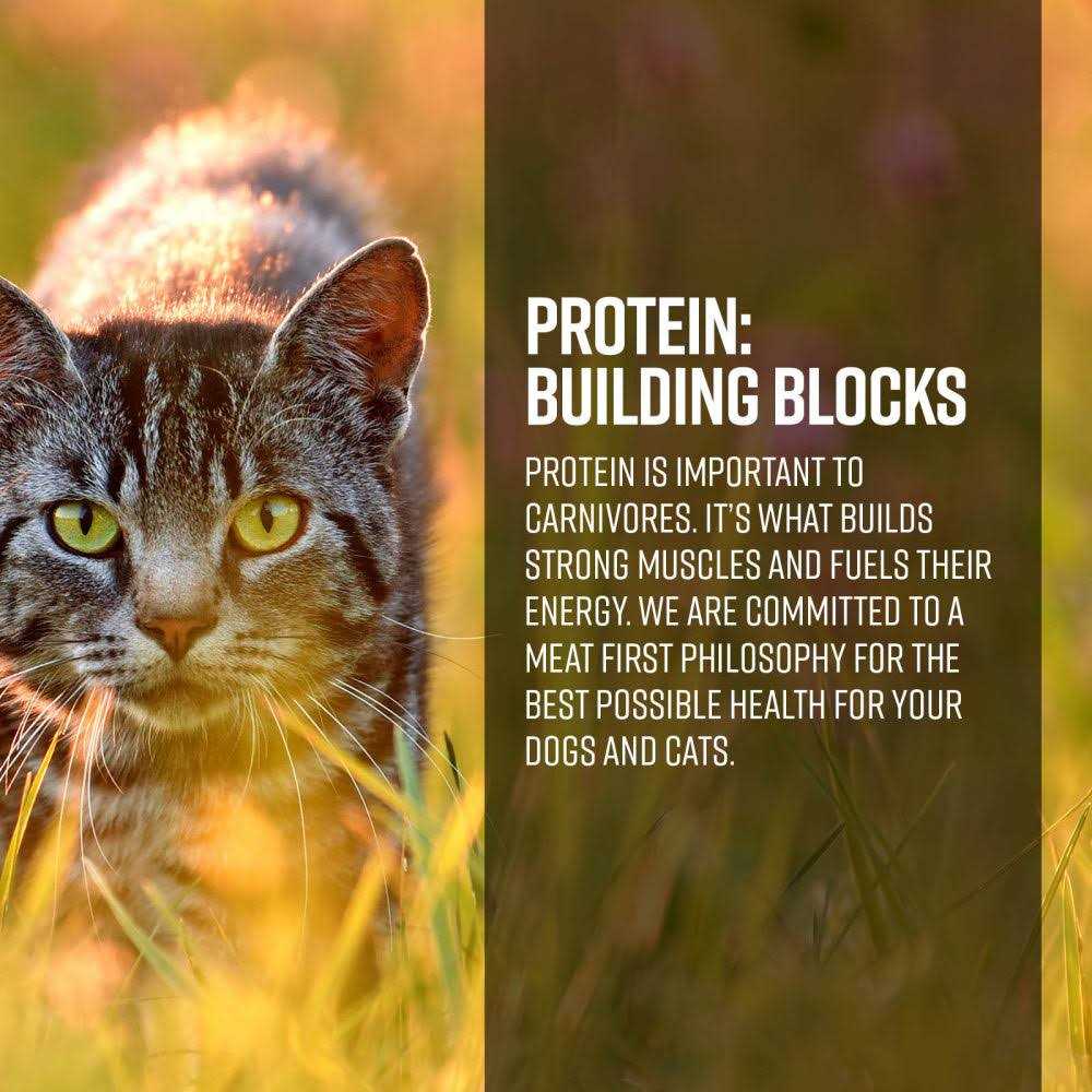 Cat Dry Food D2270