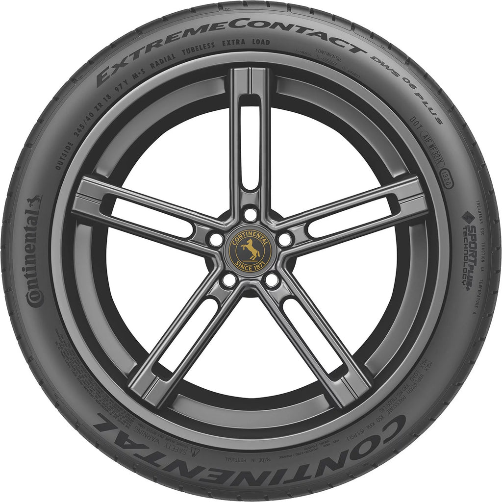 All Season 255/50ZR19 107W XL Passenger Tire P403