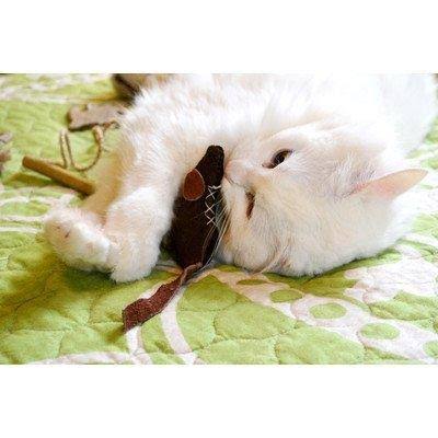 Lizard Olive Leather Dog Collar 1 inch x 18 inch A9655