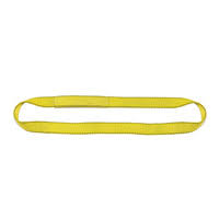 2 Ply 6x22 x 9& Endless Polyester Web Sling B9702